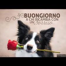 Profile Picture of Mario Conte (@marioconte1137) on Twitter