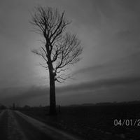 Profile Picture of Kimberly Mcwilliam (@kimberly-mcwilliam-3) on Quora