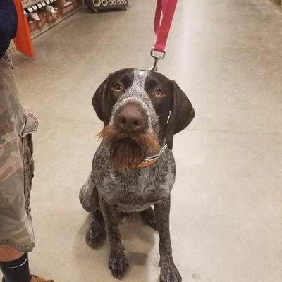 Profile Picture of Michael Quinlan (@mikeq0379) on Twitter