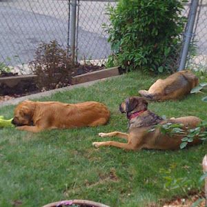 Profile Picture of mikeykrach (@michaelkrachkowsk) on Tiktok