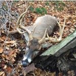 Profile Picture of Eddie Weaver (@eddieweaver1982) on Instagram