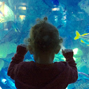 Profile Picture of Michael McGrath (@michaelmcgrath8200) on Youtube