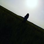 Profile Picture of Мармыш Анастасия (@_nastya_marmysh_) on Instagram