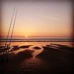 Profile Picture of Terry Clark (@clarky565) on Instagram