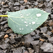 Profile Picture of Michael Stoneman (@michaelstoneman1979) on Youtube