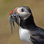 Profile Picture of Rich Edmondson (@devon togs) on Flickr