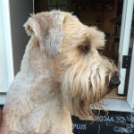 Daniel Carhart - Instagram Profile Picture of Daniel Carhart (@dmciivt) on Instagram