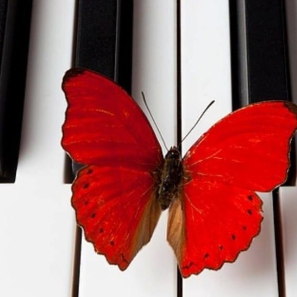 Ken Hughes - Poshmark Profile Picture of Ken Hughes (@grandpa_ken) on Poshmark