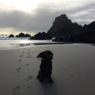 Profile Picture of David Mehaffey (@CaptainPhaff) on Twitter