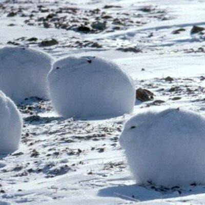 Profile Picture of Erc (@EricWimsatt) on Twitter