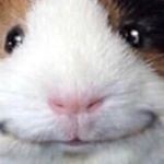 Randy_Melendrez - Instagram Profile Picture of Randy_Melendrez (@randiitheugly) on Instagram