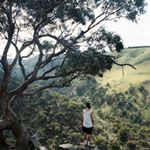 Profile Picture of Andrew Bibby (@bibbyphoto) on Instagram