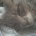 Profile Picture of Lance Rasmussen (@lance.rasmussen.969) on Facebook