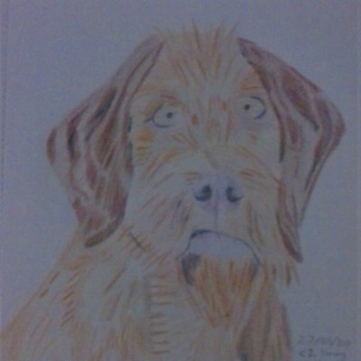 Adam Bicknell - Twitter Profile Picture of Adam Bicknell (@AdamBicknell8) on Twitter