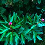 Profile Picture of Taylor Hanks (@taylorlhanks) on Instagram