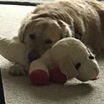 Profile Picture of Jake Mattson (@jake07012016) on Instagram