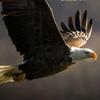 Profile Picture of Hector Coronel (@@hectorcoronel69) on Tiktok