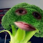 Profile Picture of Michael Strnad (@mikeyspams2004) on Instagram