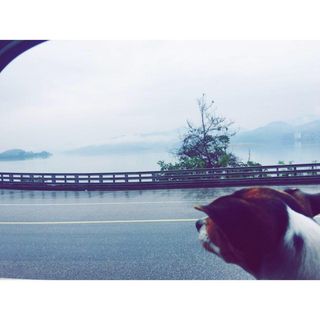 Profile Picture of Eugene Cha (@youjin.cha.1) on Facebook