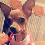 Profile Picture of luz.barrientos (@faby_barrientos) on Instagram