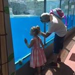 Dan Vickery - Instagram Profile Picture of Dan Vickery (@danvickery101) on Instagram