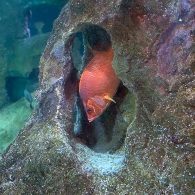 Profile Picture of Pat Luce (@PatLuce2) on Twitter