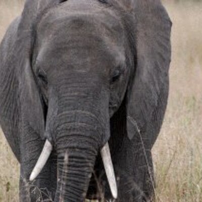 Profile Picture of Mark E. Pauley Sr. (@markepauleysr) on Twitter
