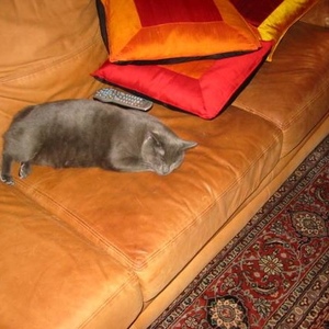 Profile Picture of Maria D'amicci (@356036172) on Myspace