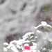 Profile Picture of catherine baumier (@crochettine) on Pinterest
