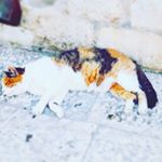 Bomin Kim - Instagram Profile Picture of Bomin Kim (@bomin.kim.946954) on Instagram