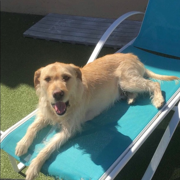 Profile Picture of Mary Feinholz (@marpear3785) on Poshmark