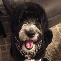 Profile Picture of Cindy Huffman (@@clhpt88) on Tiktok