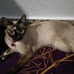 Profile Picture of Mari Cervera (@maricarmencerverapascual) on Instagram