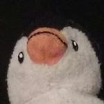 Profile Picture of Tim Kaine (@yoboi_timoo) on Instagram