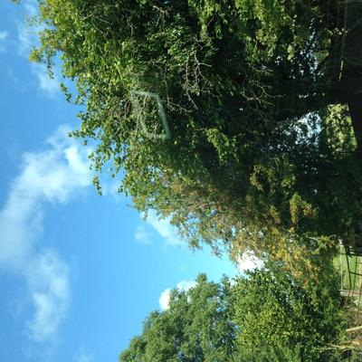 Profile Picture of Karina King (@karinaking1006) on Twitter