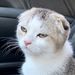 Profile Picture of ae-jeen (@jjeanjeen) on Pinterest