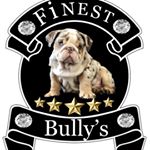 Profile Picture of Michael Parker (@finestbullys) on Instagram