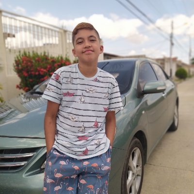 Profile Picture of Steven Perales (@Stevenperales10) on Twitter