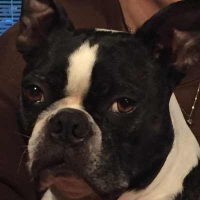 Profile Picture of Leah Tate (@leahsellsre) on Twitter