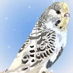 Profile Picture of Lorena Singh (@Lorena-Singh) on Facebook