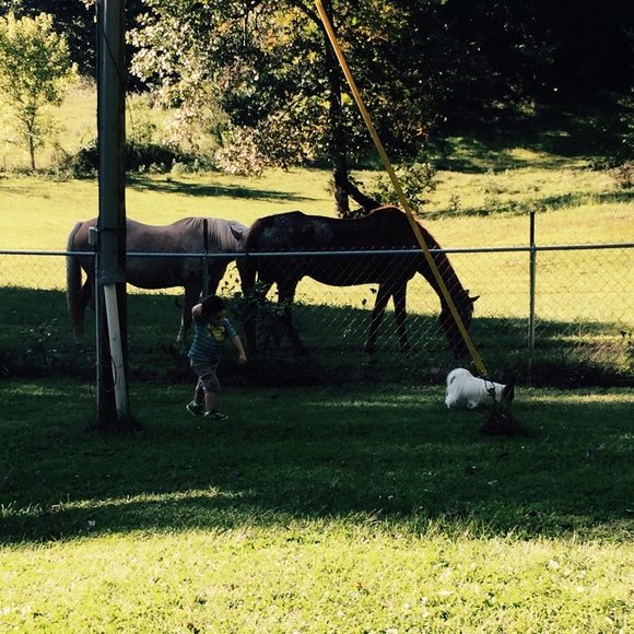 Jessica Leasor - Poshmark Profile Picture of Jessica Leasor (@iljl) on Poshmark