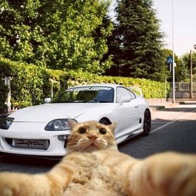 Profile Picture of Joel Larrea (@Deelta89) on Pinterest