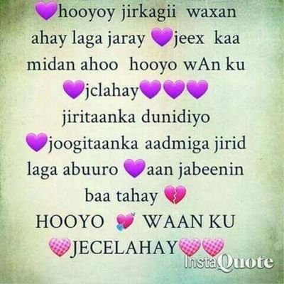 Profile Picture of Sadia Osman Omar (@sadiaosmanomar1) on Twitter