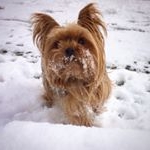 Profile Picture of Saraí Alfonzo Jaramillo (@saraialfonzojaramillo) on Instagram