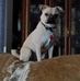Profile Picture of Floyd Wilde (@floyd.wilde.1) on Facebook