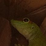 Profile Picture of Paul Deprez (@deprez76) on Instagram