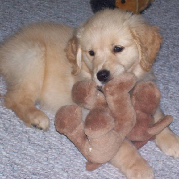 Profile Picture of Chris Huskey (@rchuskey) on Poshmark