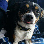 Bryce Lessard - Instagram Profile Picture of Bryce Lessard (@lessardbryce) on Instagram