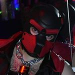 Profile Picture of Danny Rouxxy the pup (@pup.dann) on Instagram