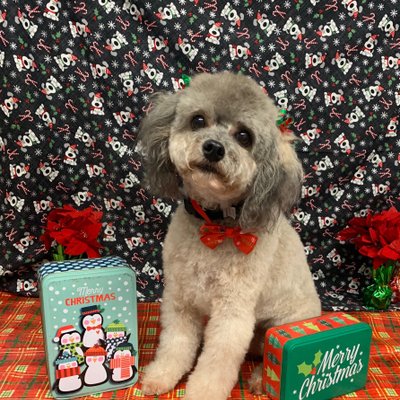 Profile Picture of Tom Berrier (@TomBerrier) on Twitter